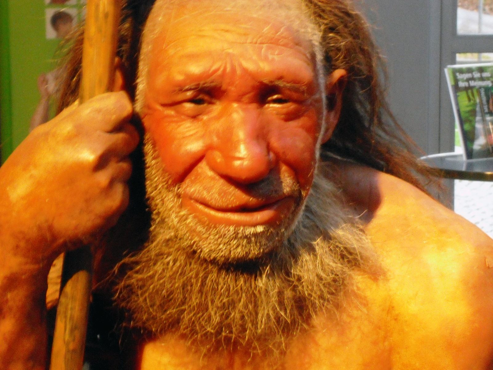 Auf den Spuren der Neanderthaler